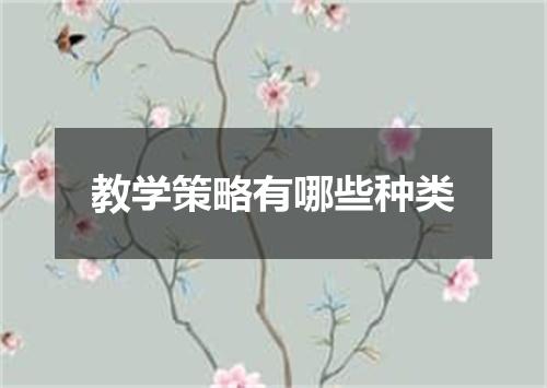 教学策略有哪些种类