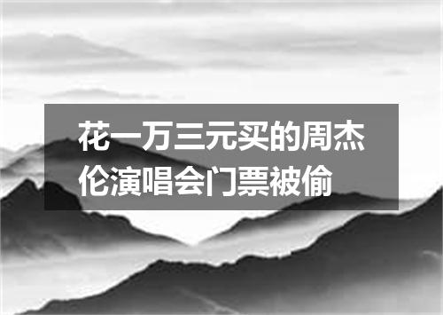 花一万三元买的周杰伦演唱会门票被偷