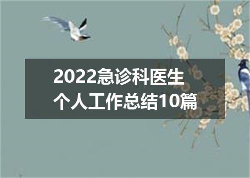 2022急诊科医生个人工作总结10篇