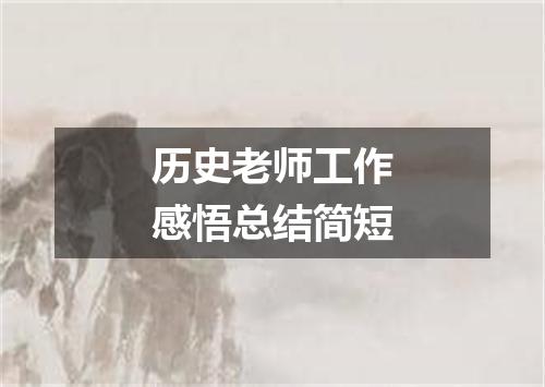 历史老师工作感悟总结简短