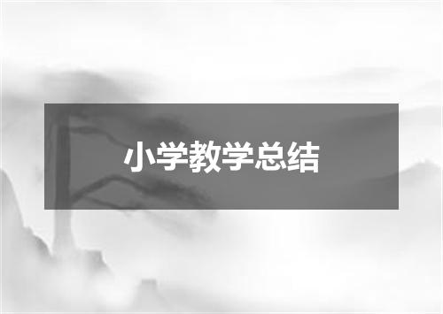 小学教学总结