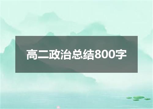 高二政治总结800字