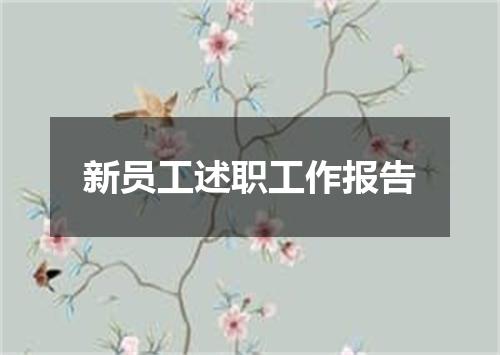 新员工述职工作报告