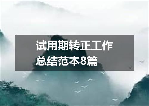 试用期转正工作总结范本8篇