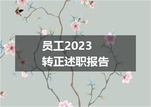 员工2023转正述职报告