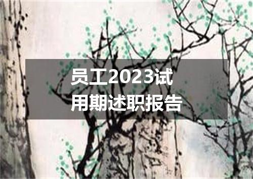 员工2023试用期述职报告