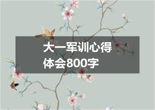 大一军训心得体会800字