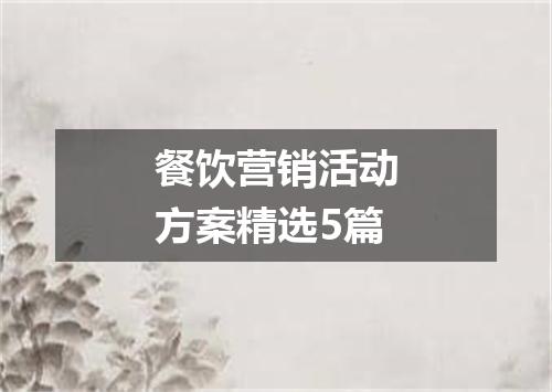 餐饮营销活动方案精选5篇
