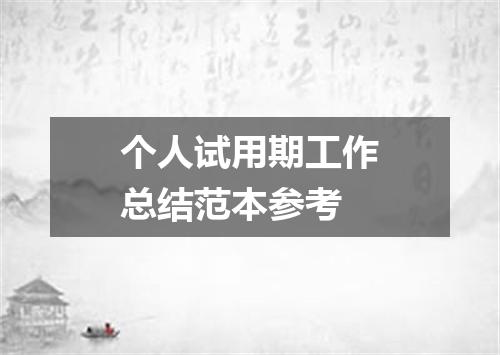 个人试用期工作总结范本参考