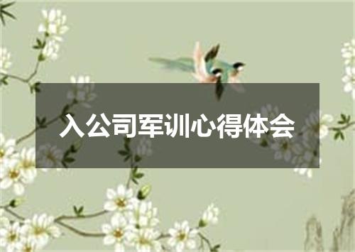 入公司军训心得体会