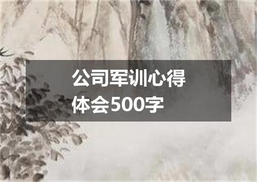 公司军训心得体会500字