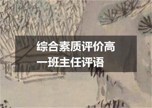 综合素质评价高一班主任评语