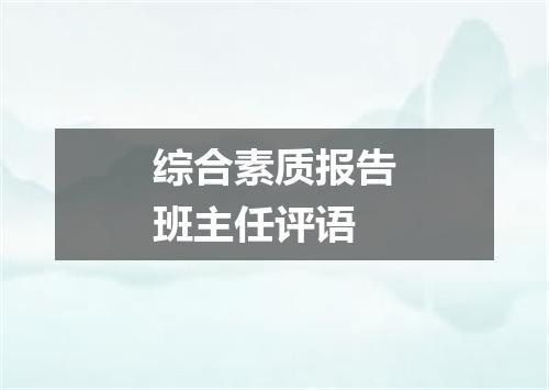 综合素质报告班主任评语
