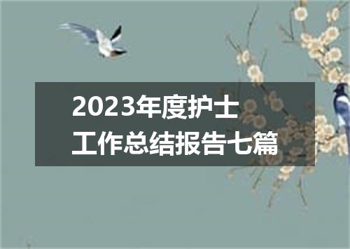 2023年度护士工作总结报告七篇