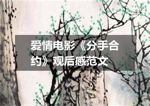 爱情电影《分手合约》观后感范文