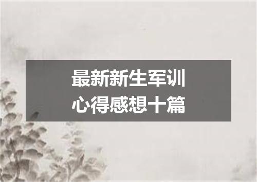 最新新生军训心得感想十篇