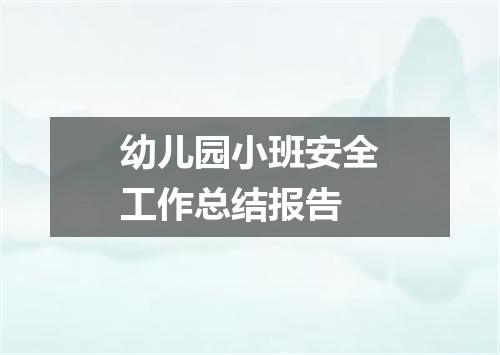 幼儿园小班安全工作总结报告