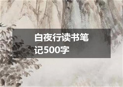 白夜行读书笔记500字