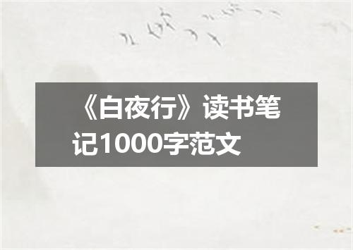 《白夜行》读书笔记1000字范文