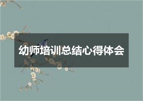 幼师培训总结心得体会