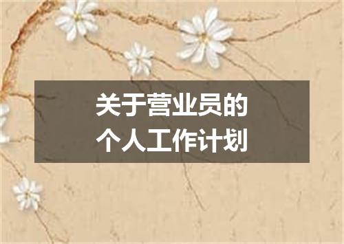 关于营业员的个人工作计划
