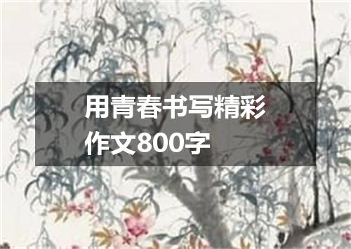 用青春书写精彩作文800字