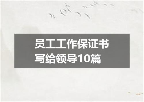 员工工作保证书写给领导10篇
