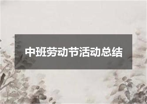 中班劳动节活动总结