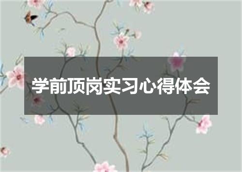 学前顶岗实习心得体会