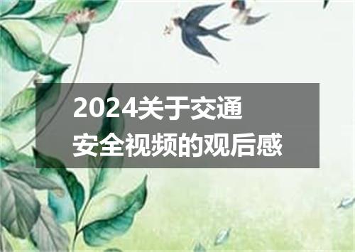 2024关于交通安全视频的观后感