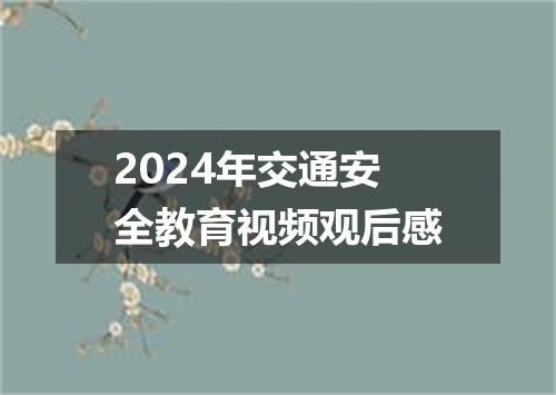 2024年交通安全教育视频观后感