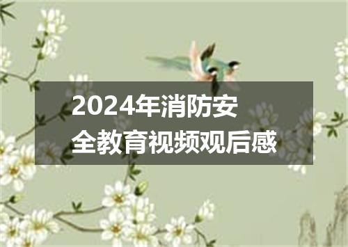 2024年消防安全教育视频观后感