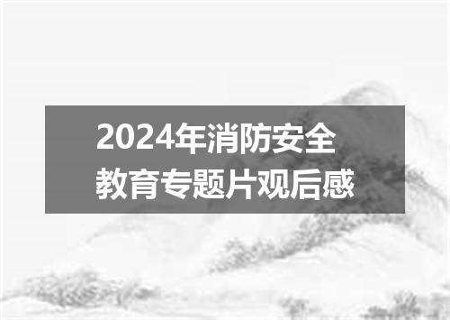 2024年消防安全教育专题片观后感