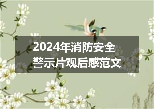 2024年消防安全警示片观后感范文