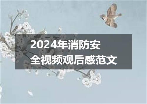 2024年消防安全视频观后感范文