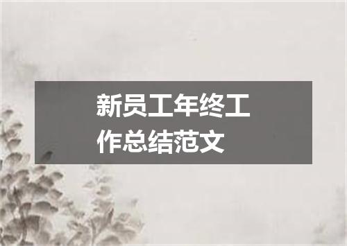 新员工年终工作总结范文