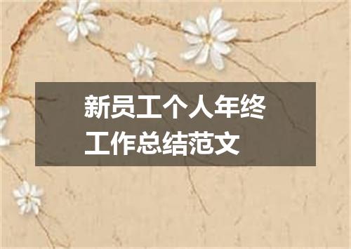 新员工个人年终工作总结范文