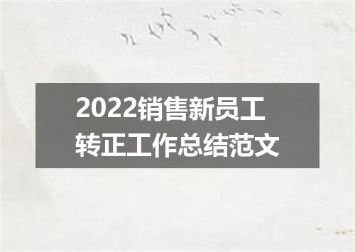 2022销售新员工转正工作总结范文
