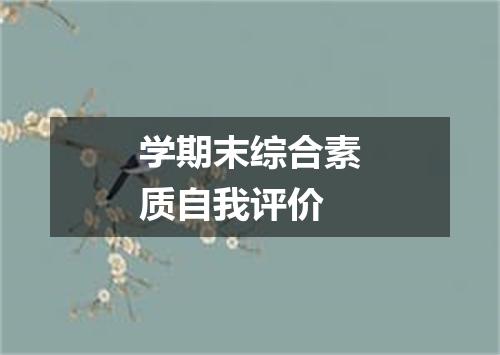 学期末综合素质自我评价
