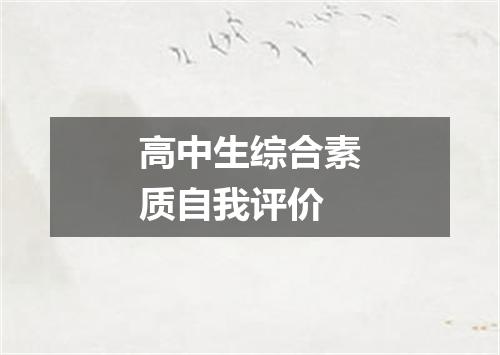 高中生综合素质自我评价