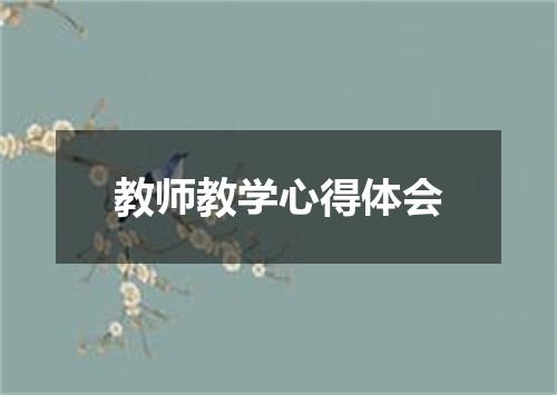 教师教学心得体会