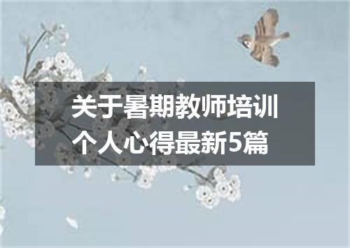 关于暑期教师培训个人心得最新5篇
