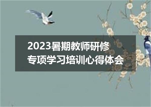 2023暑期教师研修专项学习培训心得体会