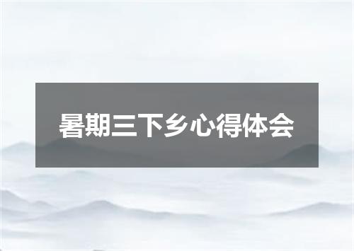 暑期三下乡心得体会