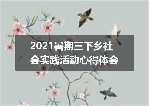 2021暑期三下乡社会实践活动心得体会