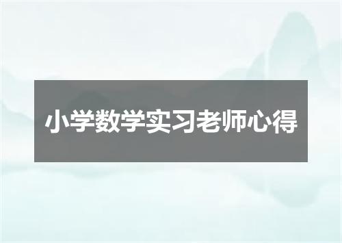 小学数学实习老师心得