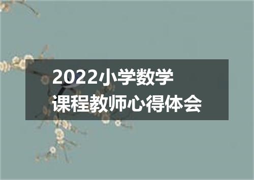 2022小学数学课程教师心得体会