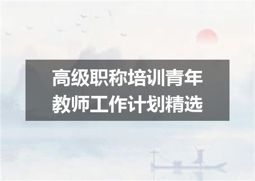高级职称培训青年教师工作计划精选