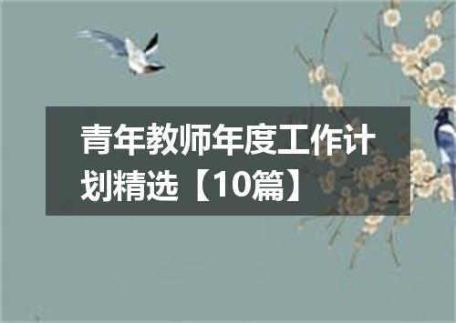 青年教师年度工作计划精选【10篇】