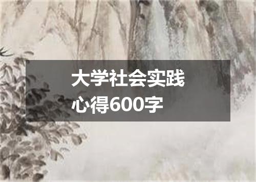 大学社会实践心得600字